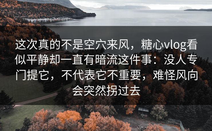 这次真的不是空穴来风，糖心vlog看似平静却一直有暗流这件事：没人专门提它，不代表它不重要，难怪风向会突然拐过去